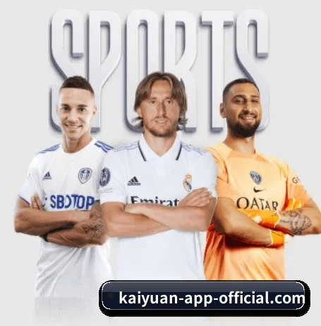 kaiyuan-app-official.com的方向